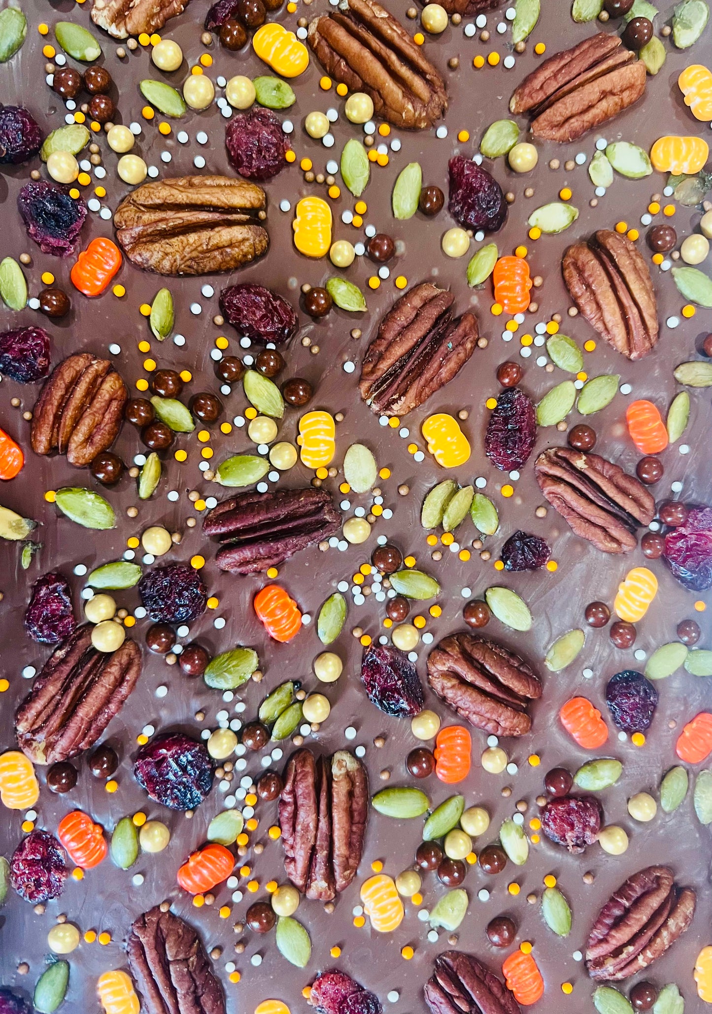 Chocolate Bark - Fall Collection